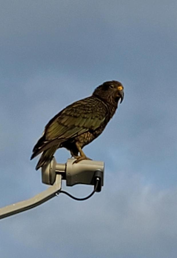 Kea Retreat Villa Franz Josef Eksteriør bilde